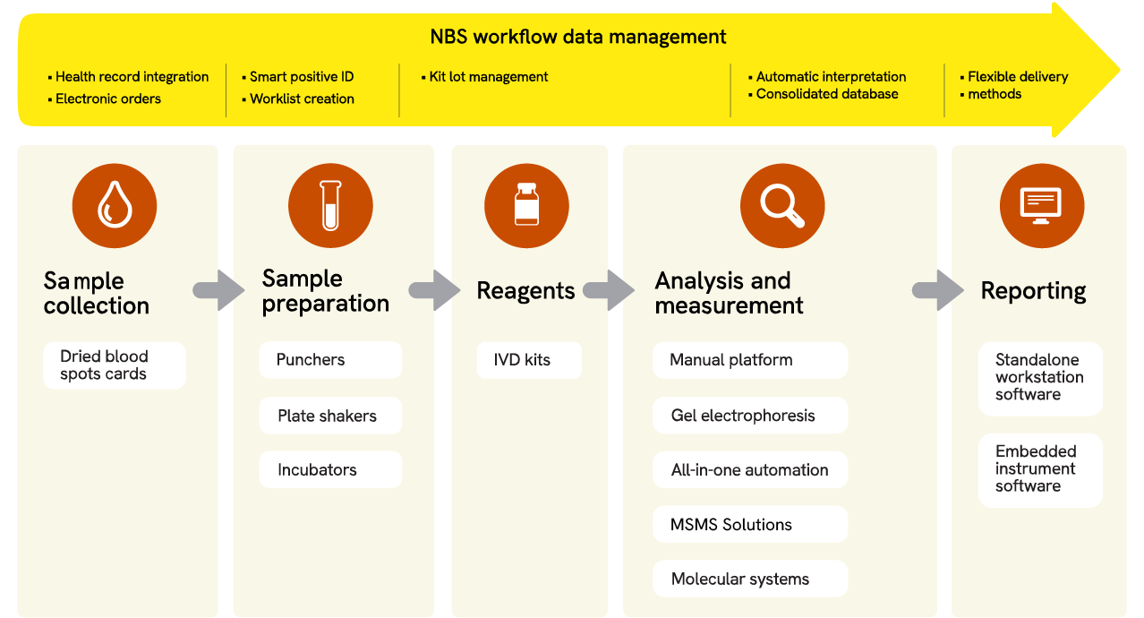 Newborn screening workflow